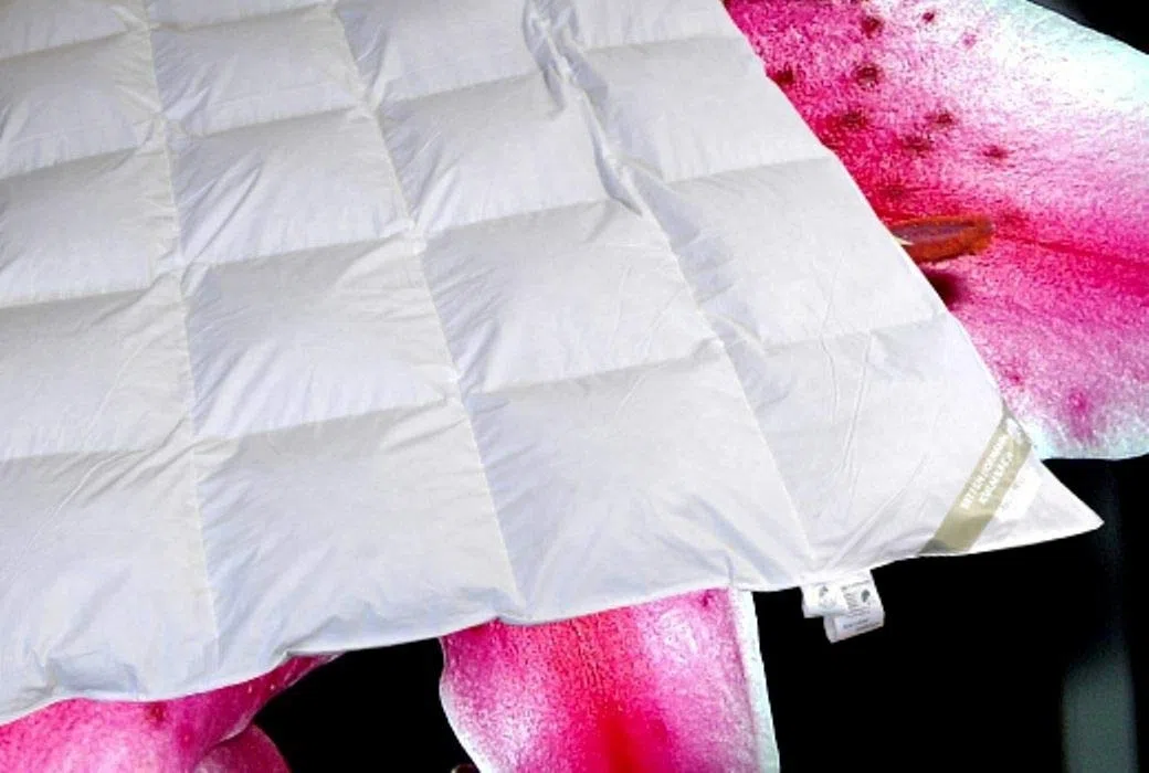 Hofmann Canada Ganzjahres Daunendecke Daunenbett 4x6 135x200 1000g 100% Daunen